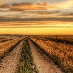 Meet your Posher, Daisy